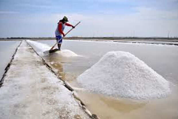 salt tuticorin