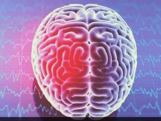 நினைவாற்றலை மேம்படுத்த உதவும் இந்த விதை