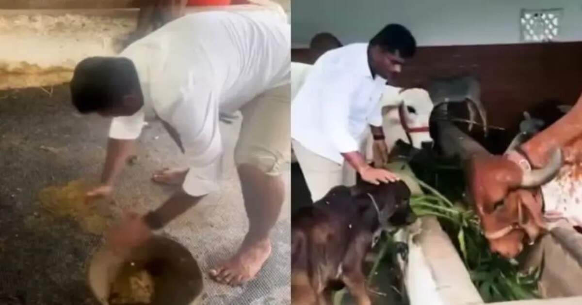 சாணி அள்ளும் அண்ணாமலை - வீடியோ பார்த்து வெளுத்து வாங்கும் நெட்டிசன்கள்..!