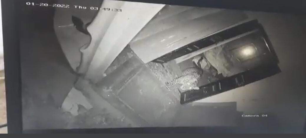 கோவை குடோனில் 4-வது நாளாக பதுங்கி இருக்கும் சிறுத்தை.... புதிய சிசிடிவி காட்சிகள் வெளியிட்ட வனத்துறை!