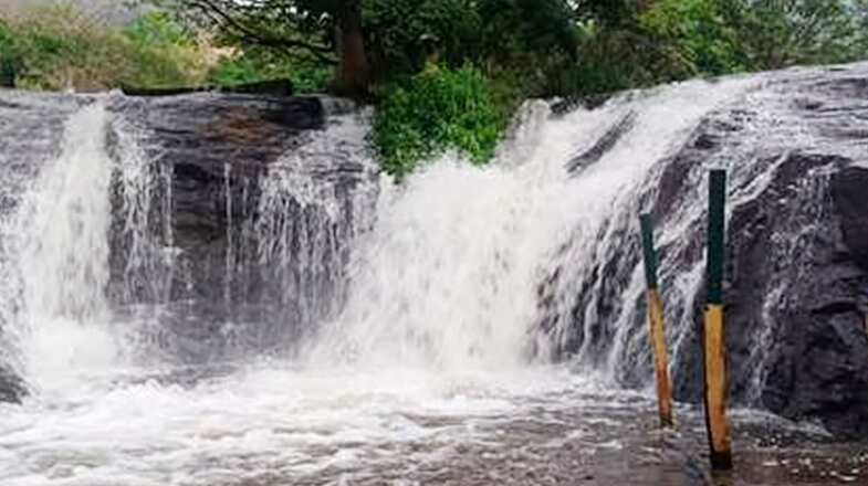 கும்பக்கரை அருவியில் திடீர் வெள்ளப்பெருக்கு... சுற்றுலா பயணிகளுக்கு தடை விதிப்பு!