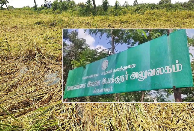 நாளை நெற்பயிர்கள் கணக்கெடுப்பு