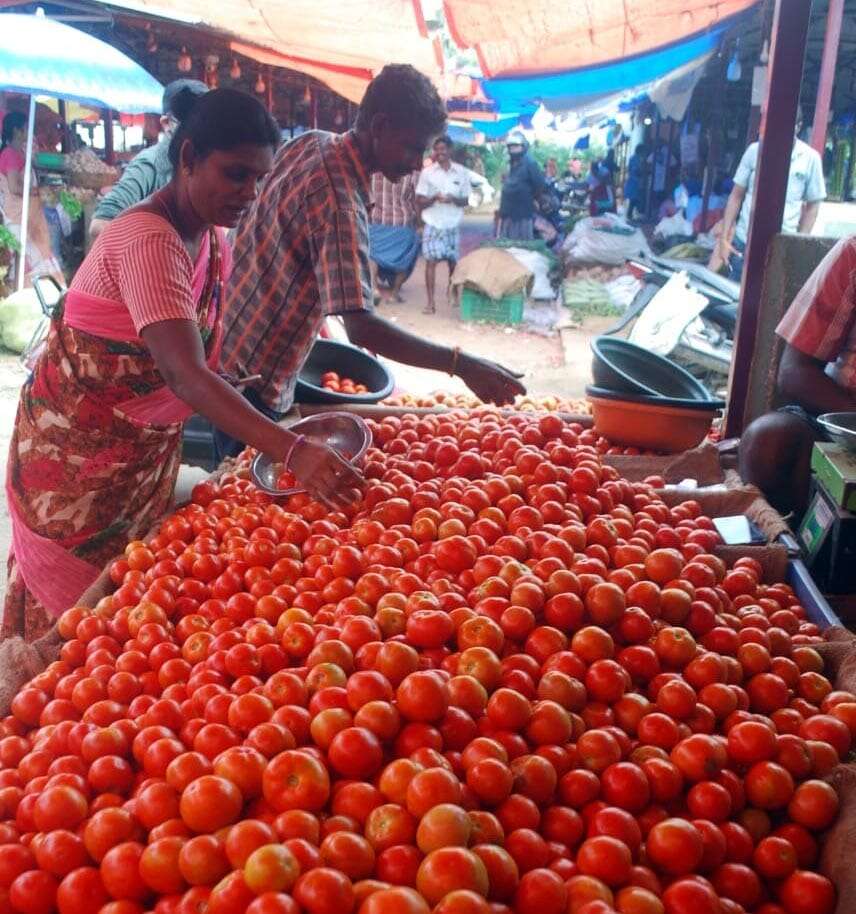 சென்னையில் ஒரு கிலோ தக்காளியின் விலை ரூ.100ஐ தொட்டது