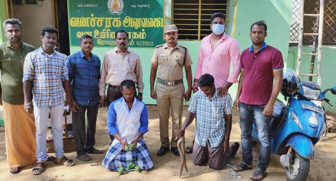 இலங்கைக்கு கடத்த முயன்ற மண்ணுளி பாம்பு, பச்சை கிளிகள் பறிமுதல் - இருவர் கைது!