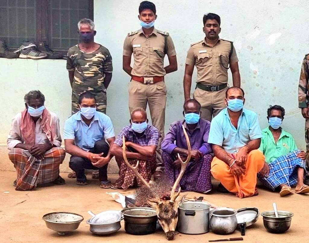 கோவை ஆனைக்கட்டியில் இருவேறு இடங்களில் மானை வேட்டையாடிய 12 பேர் கைது... ரூ.2.75 லட்சம் அபராதம் விதித்த வனத்துறை!
