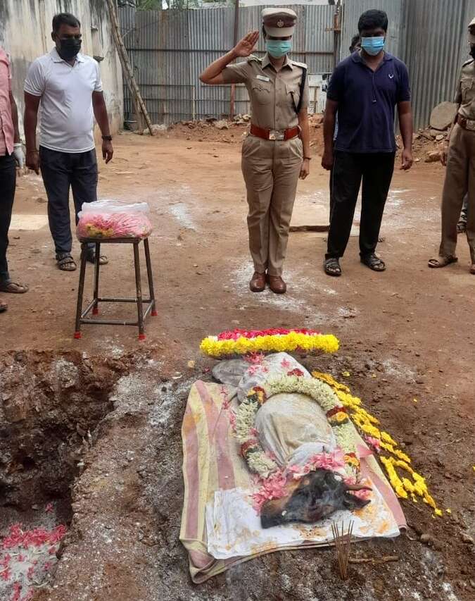 கோவையில் மோப்ப நாய் டயானா உயிரிழப்பு... போலீசார் மரியாதையுடன் உடல் அடக்கம்!