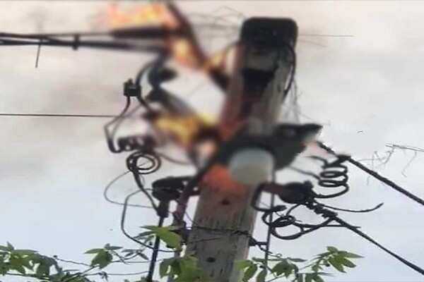 மின் கம்பத்தில் இருந்து விழுந்து மின் ஊழியர் பலி! குமரியில் சோகம்