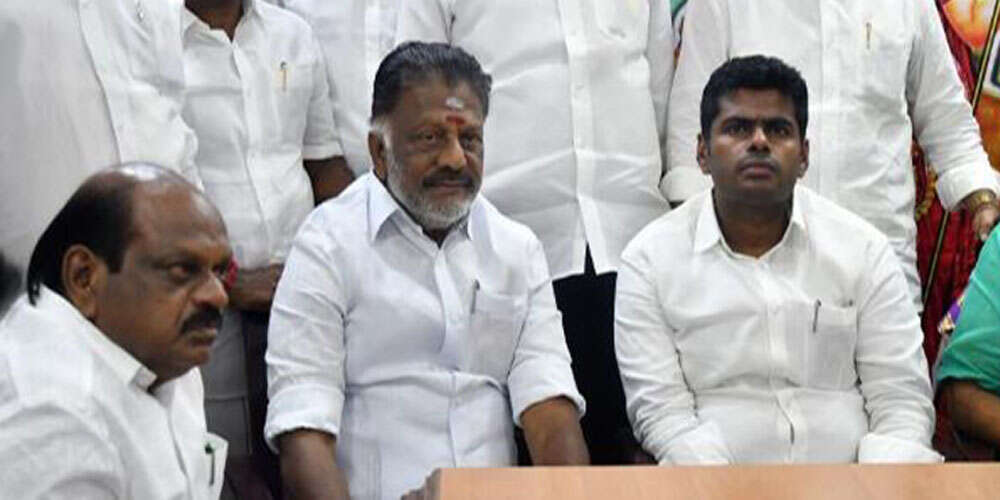 ஆட்டுக்குட்டி என அண்ணாமலையை விளாசும் ஓபிஎஸ் ஆதரவாளர்! பாஜகவின் அரசியல் ஆதாயச் சூதாட்டம் என ஆவேசம்!