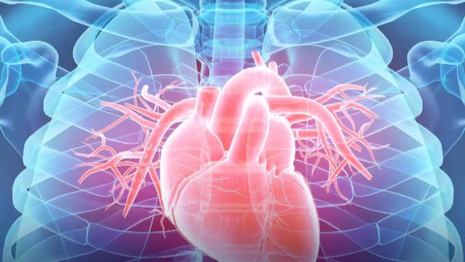 இதயம் பலம்பெற உதவும் இந்த காயின் ஆரோக்கியம் பற்றி தெரியுமா ?