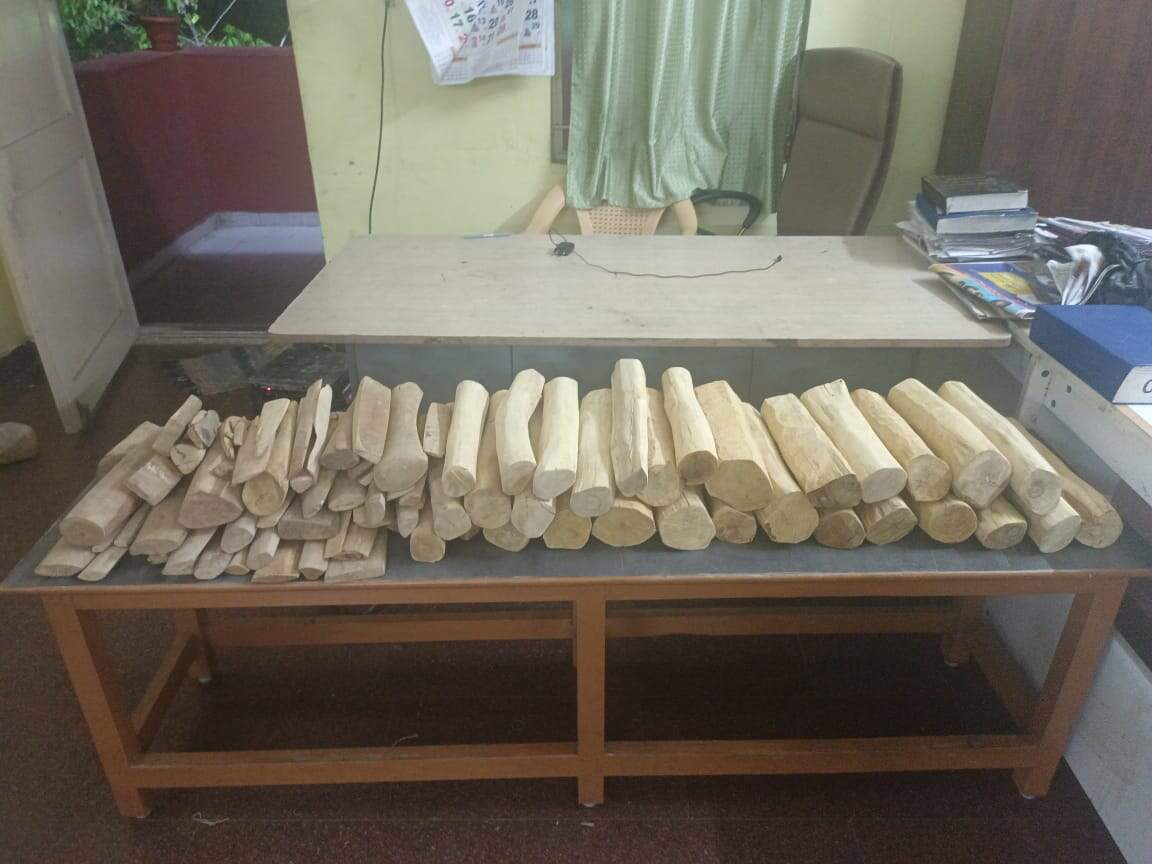 ஆந்திராவில் இருந்து சந்தன கட்டைகளை கடத்தி வந்த 3 பேர் கைது