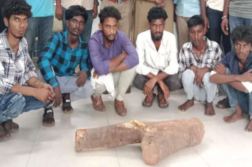 அதிர்ச்சி..! கோவையில் ரயிலைக் கவிழ்க்க சதி; 6 பேர் கைது