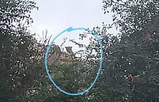 கோவை அருகே குடியிருப்பு பகுதிக்குள் சிறுத்தை நடமாட்டம் - பொதுமக்கள் அச்சம்!