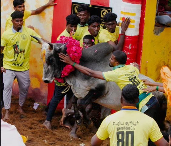 சூரியூரில் களைகட்டிய ஜல்லிக்கட்டு- முதலிடம் பிடித்தவருக்கு கார் வழங்கிய அமைச்சர் அன்பில் மகேஷ்