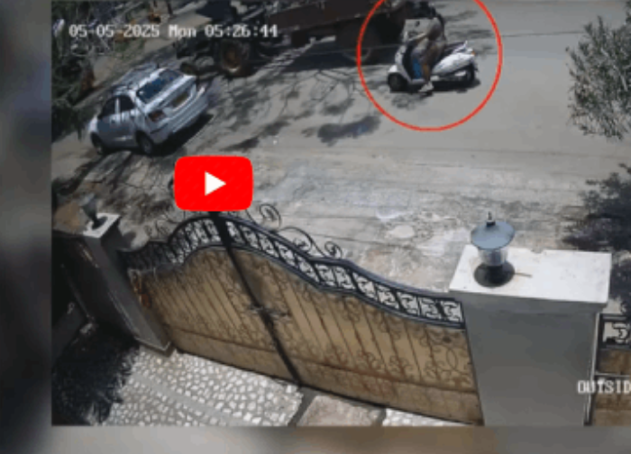 சாலையில் சென்றுகொண்டிருந்த பெண் மரம் விழுந்து பலி!