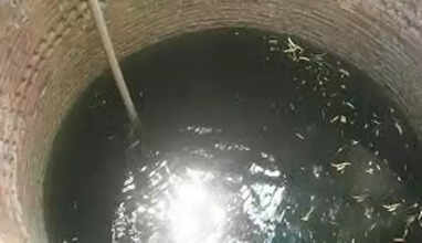 கிணற்றில் விழுந்து தற்கொலை