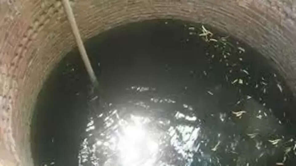 கிணற்றில் விழுந்து தற்கொலை