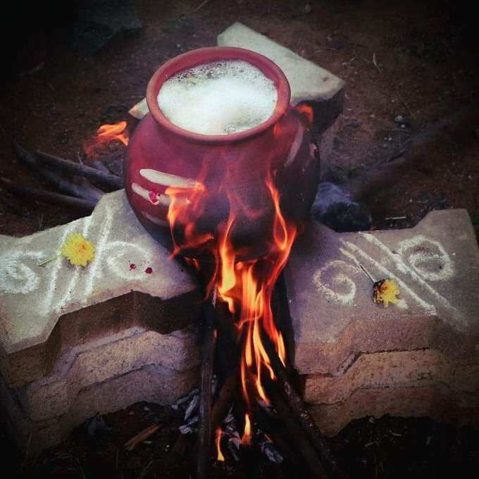 தமிழகத்தில் களைகட்டிய தைப்பொங்கல் கொண்டாட்டம்... பொங்கல் வைத்து வழிபட்ட மக்கள்...