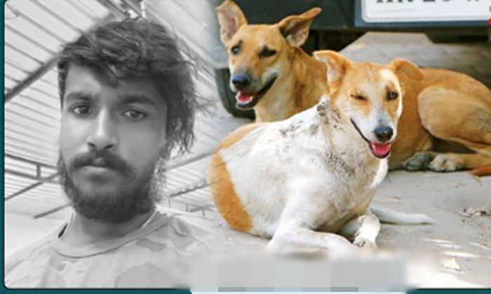 நாய் கடிக்கு சிகிச்சை பெறாத இளைஞர்.. 2 மாதங்களுக்குப் பிறகு உயிரிழப்பு!