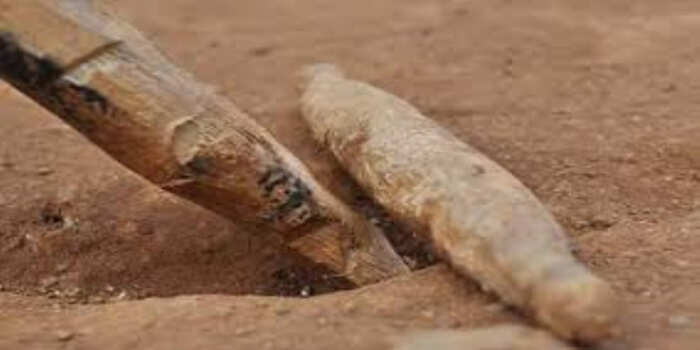 கிட்டிப்புல் விளையாட்டில் பயங்கரம்! இளைஞர் கழுத்தை அறுத்து கொலை