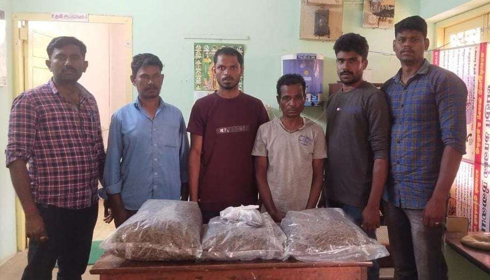கோவையில் இருசக்கர வாகனத்தில் கஞ்சா கடத்திய 3 பேர் கைது... 8.5 கிலோ கஞ்சா பறிமுதல்!