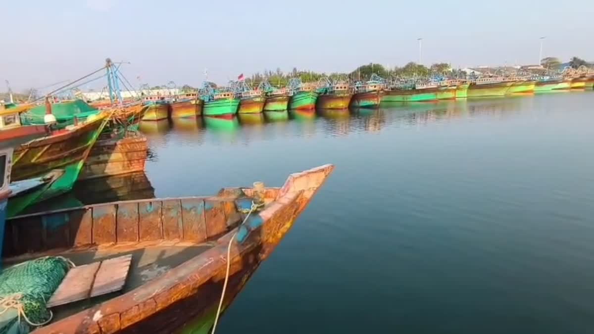 இன்று முதல் 61 நாட்களுக்கு மீன்பிடி தடைக்காலம் அமல்..!