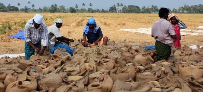 அரியலூர் மாவட்டத்தில் 15 இடங்களில் நேரடி நெல் கொள்முதல் நிலையங்கள் திறப்பு - ஆட்சியர் ரமண சரஸ்வதி!