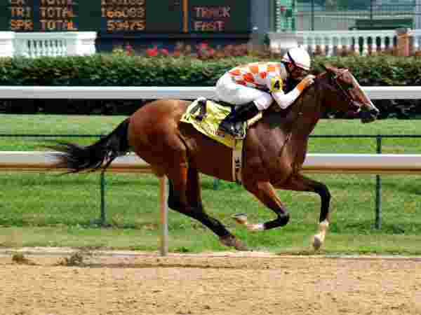 சென்னையில் 6 ஆண்டுகளுக்குப் பிறகு நாளை குதிரை பந்தயம் தொடக்கம்