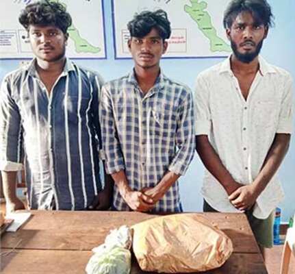 திண்டுக்கல் அருகே கஞ்சா விற்ற பெண் உள்ளிட்ட 5 பேர் கைது; 2 கிலோ கஞ்சா, 2 இருசக்கர வாகனங்கள் பறிமுதல்!