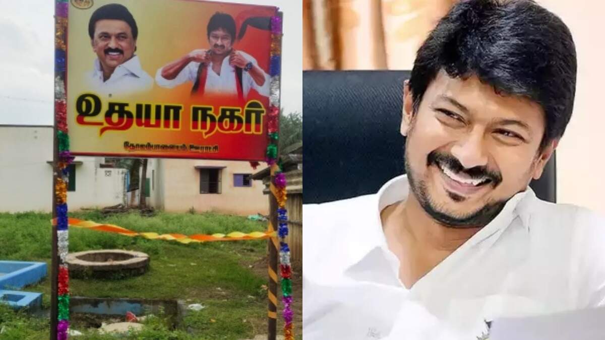 சட்டென முளைத்த 