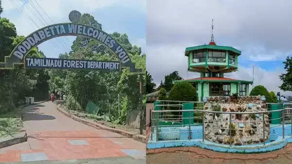 உதகை தொட்டபெட்டா மலைச்சிகரம் மூடல்