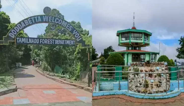 தொட்டபெட்டா