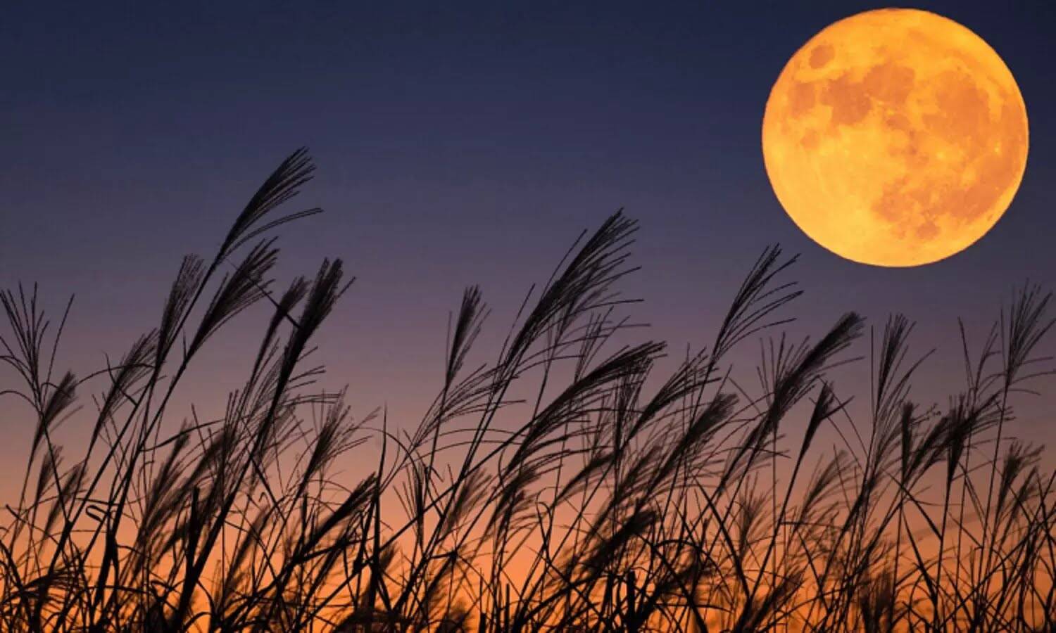 அதிர்ச்சி தகவல்..!!துருப்பிடித்து வரும் நிலவு; எல்லாவற்றிற்கும் நாம தான் காரணம்...??