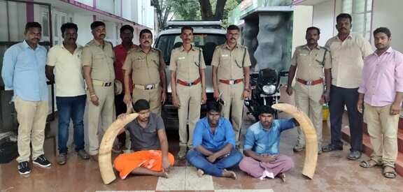 தருமபுரி அருகே காரில் யானை தந்தங்கள் கடத்திய மூவர் கைது!