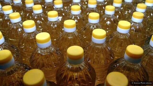 சமையல் எண்ணெய் விலை கிடுகிடுவென உயர்வு! இல்லத்தரசிகள் அதிர்ச்சி