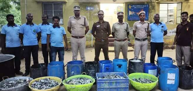 இலங்கைக்கு கடத்த முயன்ற 480 கிலோ கடல் அட்டைகள் பறிமுதல்... வனத்துறையினர் நடவடிக்கை!