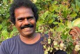 செருப்பு அணிந்து சிமெண்ட் சாலையில் நடந்து செல்பவர்களுக்கு விவசாயிகளின் கஷ்டம் புரியாது - தங்கர் பச்சான்..!!