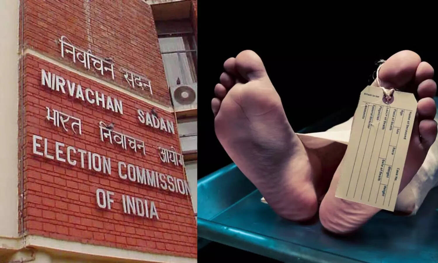 தூத்துக்குடியில் சோகம்..! SIR பணியில் ஈடுபட்டு வந்த ஊழியர் மாரடைப்பால் உயிரிழப்பு..!