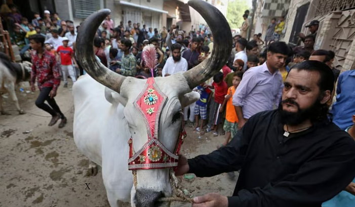 பசுக்கள், கன்றுகளைப் பொது இடங்களில் பலியிடத் தடை: சென்னை உயர் நீதிமன்ற உத்தரவுக்கு உச்ச நீதிமன்றம் இடைக்காலத் தடை!