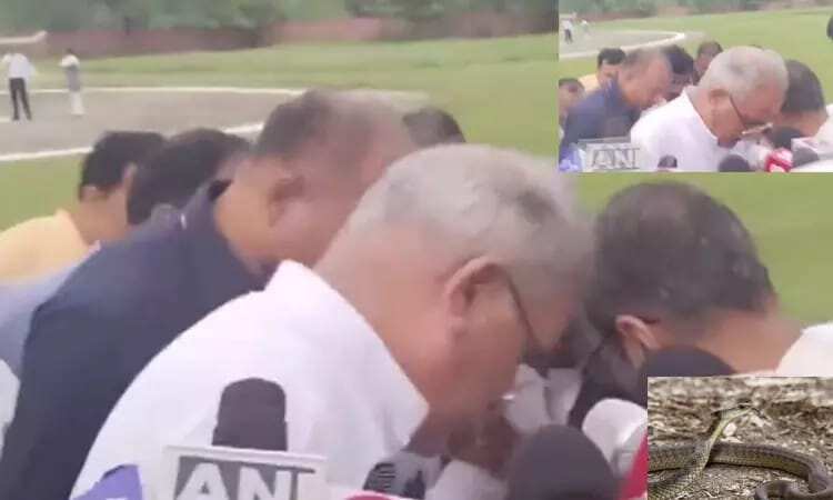 சத்தீஷ்கர் முதலமைச்சர் செய்தியாளர் சந்திப்பின் போது உள்ளே புகுந்த பாம்பு - அதிர்ச்சி வீடியோ!