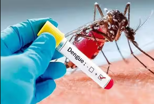 அடுத்த 2 மாதம் உஷாரா இருக்கனும்..! சென்னை உள்ளிட்ட 4 மாவட்டங்களில் வேகமாக பரவுது டெங்கு..!