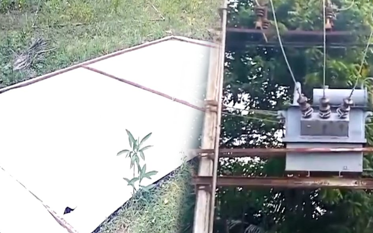 கோவில் திருவிழாவுக்கு பிளக்ஸ் வைக்கும் போது மின்சாரம் தாக்கி 15 வயது சிறுவன் உயிரிழப்பு